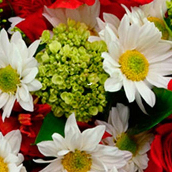 Arranjo Flores e Vida Vermelho