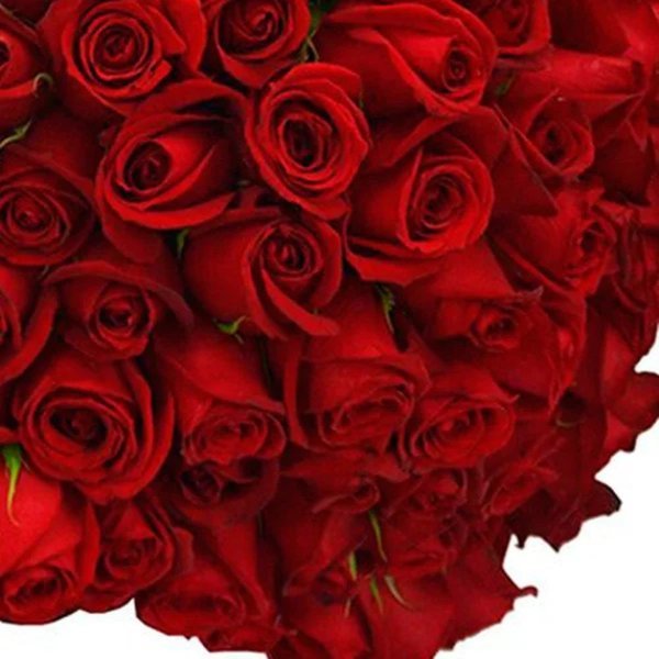 Buquê de 50 Rosas Vermelhas