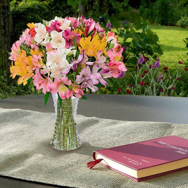 Luxuosas Astromélias Coloridas no Vaso