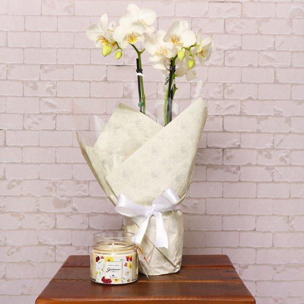 Vela Encontro Floral Giuliana Flores e Mini Orquídea Branca